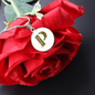 Celtic Initial Luxury Necklace - Initial P