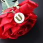 Celtic Initial Luxury Necklace - Initial U
