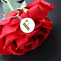 Celtic Initial Luxury Necklace - Initial F