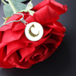 Celtic Initial Luxury Necklace - Initial C