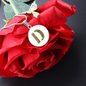 Celtic Initial Luxury Necklace - Initial D