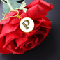 Celtic Initial Luxury Necklace - Initial P